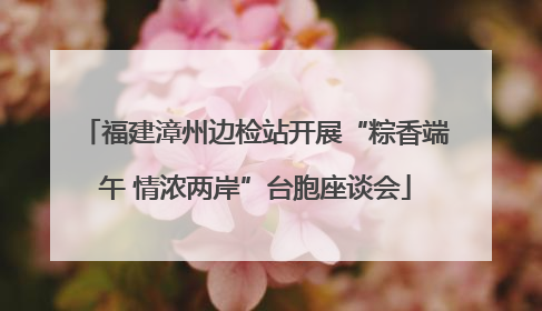 福建漳州边检站开展“粽香端午 情浓两岸”台胞座谈会