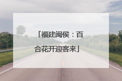 福建闽侯：百合花开迎客来