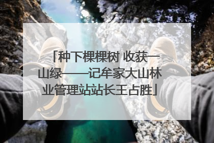 种下棵棵树 收获一山绿——记牟家大山林业管理站站长王占胜