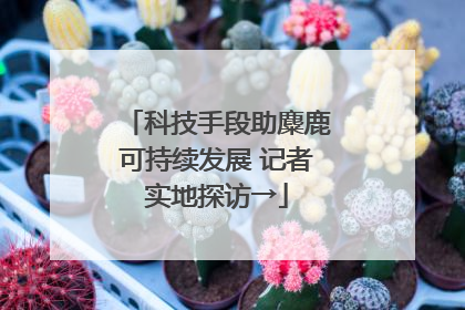 科技手段助麋鹿可持续发展 记者实地探访→