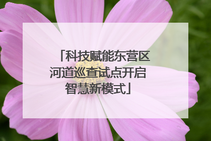 科技赋能东营区河道巡查试点开启智慧新模式