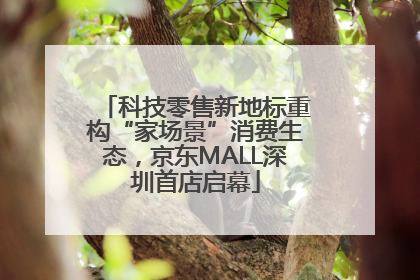 科技零售新地标重构“家场景”消费生态，京东MALL深圳首店启幕