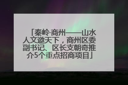秦岭·商州——山水人文邀天下，商州区委副书记、区长支朝奇推介5个重点招商项目