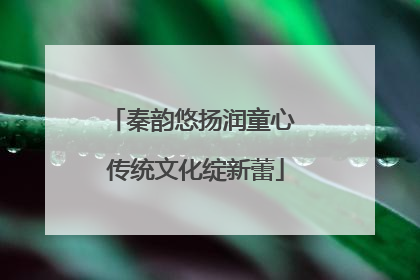 秦韵悠扬润童心 传统文化绽新蕾