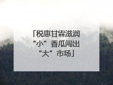 税惠甘霖滋润“小”香瓜闯出“大”市场