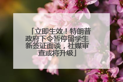 立即生效！特朗普政府下令暂停留学生新签证面谈，社媒审查或将升级