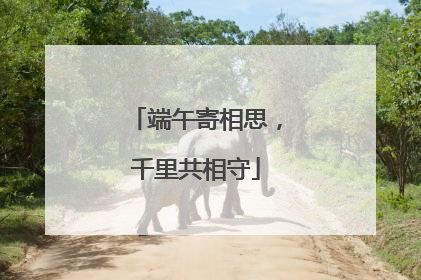端午寄相思，千里共相守