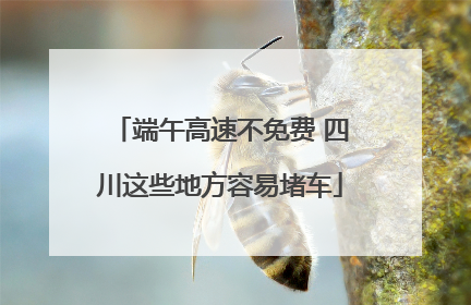 端午高速不免费 四川这些地方容易堵车