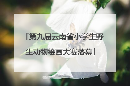 第九届云南省小学生野生动物绘画大赛落幕