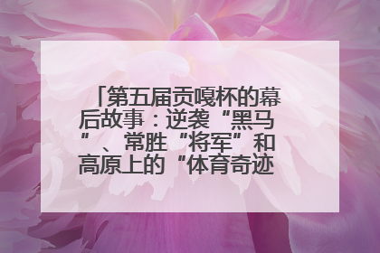 第五届贡嘎杯的幕后故事：逆袭“黑马”、常胜“将军”和高原上的“体育奇迹”丨微纪录