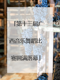 第十三届广西音乐舞蹈比赛圆满落幕
