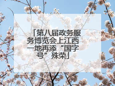 第八届政务服务博览会上江西一地再添“国字号”殊荣
