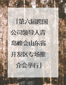 第六届跨国公司领导人青岛峰会山东省开发区专场推介会举行