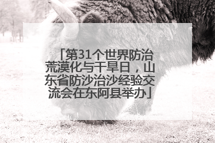第31个世界防治荒漠化与干旱日，山东省防沙治沙经验交流会在东阿县举办