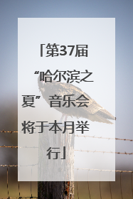 第37届“哈尔滨之夏”音乐会将于本月举行