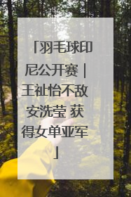 羽毛球印尼公开赛｜王祉怡不敌安洗莹 获得女单亚军