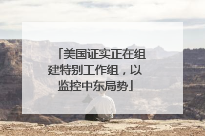 美国证实正在组建特别工作组，以监控中东局势