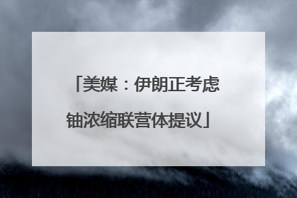 美媒：伊朗正考虑铀浓缩联营体提议