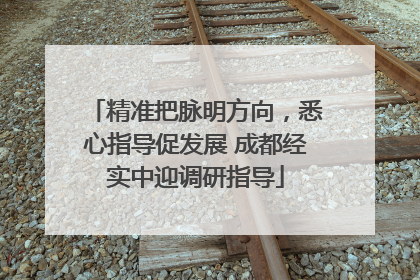 精准把脉明方向，悉心指导促发展 成都经实中迎调研指导