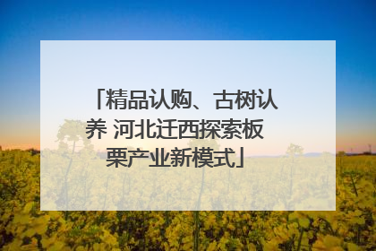 精品认购、古树认养 河北迁西探索板栗产业新模式