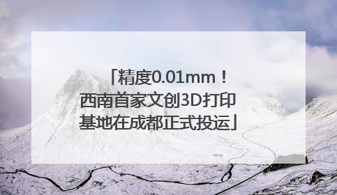 精度0.01mm！西南首家文创3D打印基地在成都正式投运