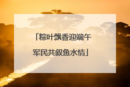 粽叶飘香迎端午 军民共叙鱼水情