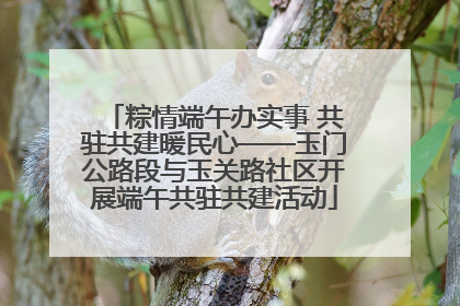 粽情端午办实事 共驻共建暖民心——玉门公路段与玉关路社区开展端午共驻共建活动