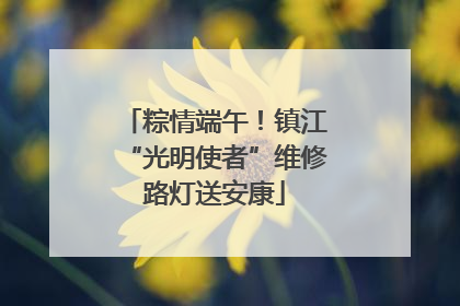 粽情端午！镇江“光明使者”维修路灯送安康