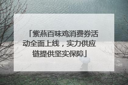 紫燕百味鸡消费券活动全面上线，实力供应链提供坚实保障