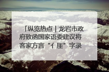 纵览热点｜龙岩市政府致函国家语委建议将客家方言“亻厓”字录入《新华字典》引发热议，当地回应