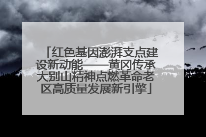 红色基因澎湃支点建设新动能——黄冈传承大别山精神点燃革命老区高质量发展新引擎