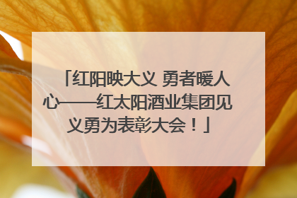 红阳映大义 勇者暖人心——红太阳酒业集团见义勇为表彰大会！