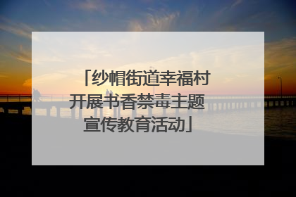 纱帽街道幸福村开展书香禁毒主题宣传教育活动