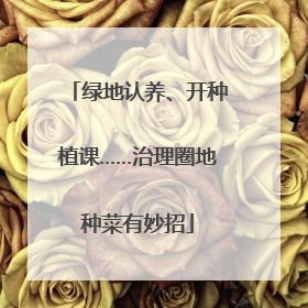 绿地认养、开种植课……治理圈地种菜有妙招