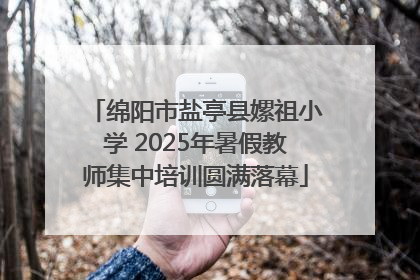 绵阳市盐亭县嫘祖小学 2025年暑假教师集中培训圆满落幕