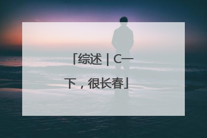 综述｜C一下，很长春