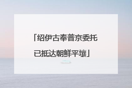 绍伊古奉普京委托已抵达朝鲜平壤