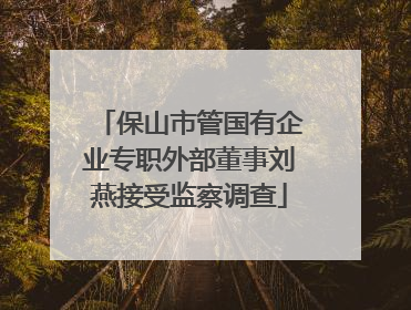 保山市管国有企业专职外部董事刘燕接受监察调查