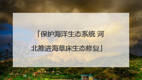 保护海洋生态系统 河北推进海草床生态修复