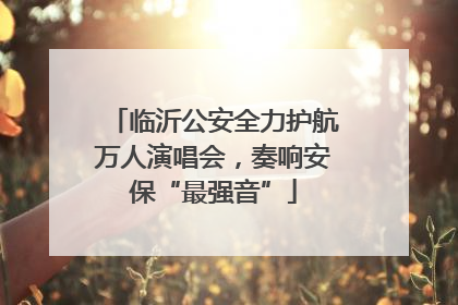 临沂公安全力护航万人演唱会，奏响安保“最强音”
