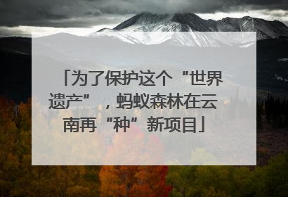 为了保护这个“世界遗产”，蚂蚁森林在云南再“种”新项目
