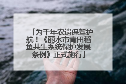 为千年农遗保驾护航！《丽水市青田稻鱼共生系统保护发展条例》正式施行