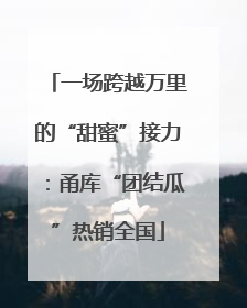 一场跨越万里的“甜蜜”接力：甬库“团结瓜”热销全国