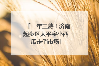 一年三熟！济南起步区太平宝小西瓜走俏市场