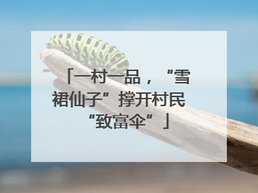 一村一品，“雪裙仙子”撑开村民“致富伞”