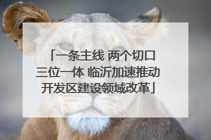 一条主线 两个切口 三位一体 临沂加速推动开发区建设领域改革