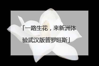 一路生花，来新洲体验武汉版普罗旺斯