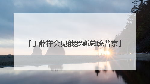 丁薛祥会见俄罗斯总统普京