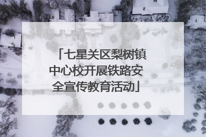 七星关区梨树镇中心校开展铁路安全宣传教育活动