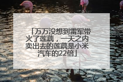 万万没想到雷军带火了莲藕，一天之内卖出去的莲藕是小米汽车的22倍